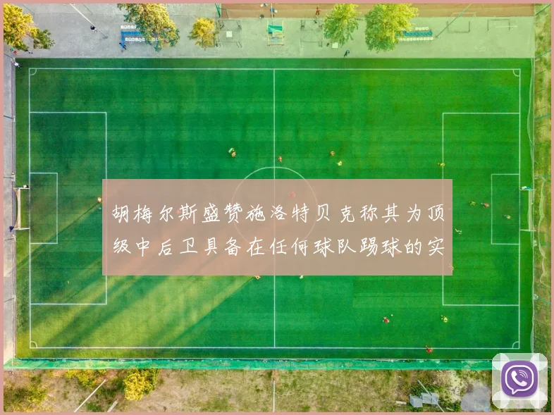 胡梅尔斯盛赞施洛特贝克称其为顶级中后卫具备在任何球队踢球的实力