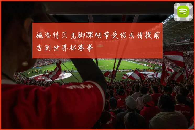 施洛特贝克脚踝韧带受伤或将提前告别世界杯赛事