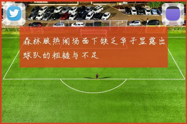 森林狼热闹场面下缺乏华子显露出球队的粗糙与不足