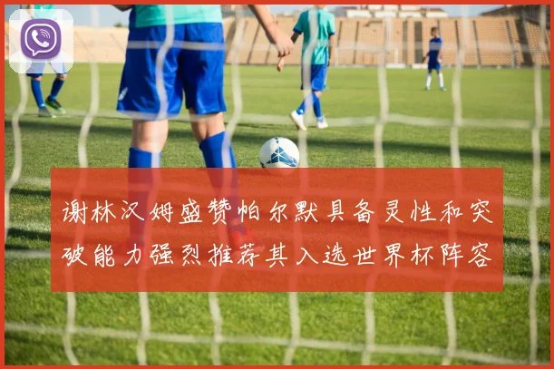 谢林汉姆盛赞帕尔默具备灵性和突破能力强烈推荐其入选世界杯阵容
