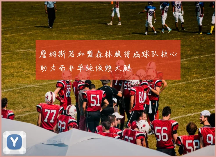 詹姆斯若加盟森林狼将成球队核心助力而非单纯依赖大腿