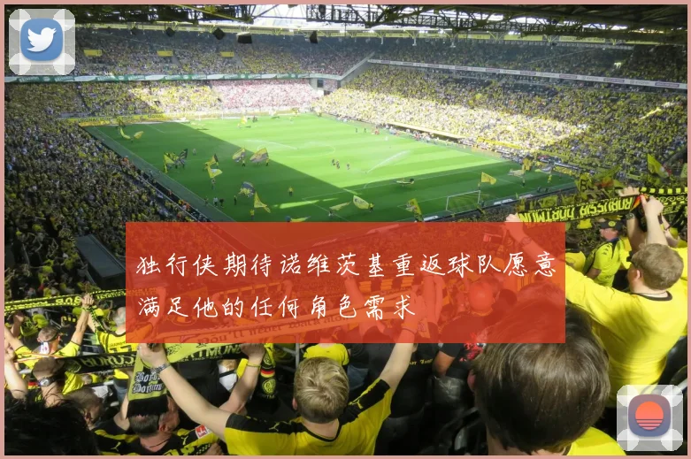 独行侠期待诺维茨基重返球队愿意满足他的任何角色需求